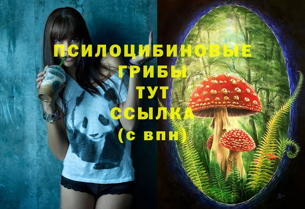 винт Алзамай