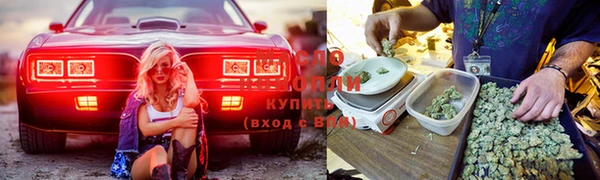 винт Алзамай