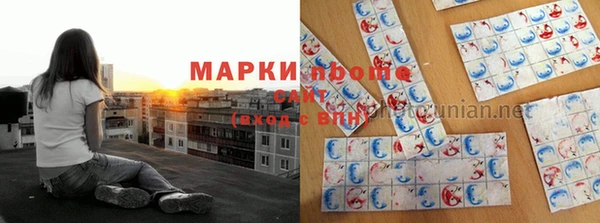 винт Алзамай